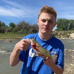 Meet your Posher, Jay